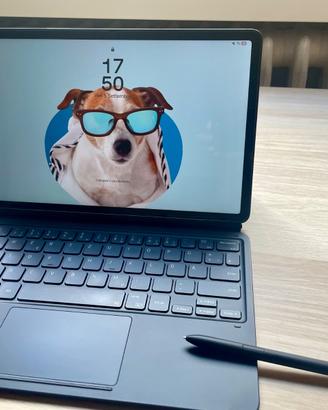 Samsung Tab S8