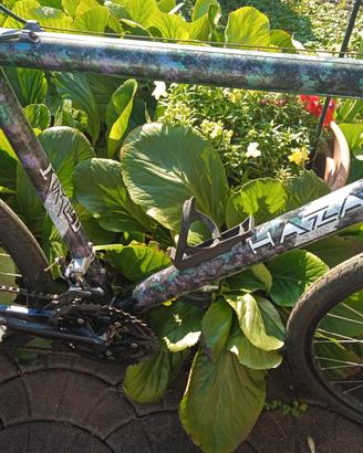 Bicicletta sport