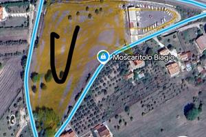 Terreno edificabile commerciale