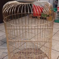 voliera pappagallo