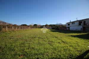 TER. RESIDENZIALE A SCALEA