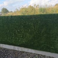 Vasca idromassaggio simple spa Intex