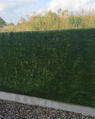 Vasca idromassaggio simple spa Intex