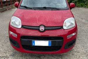 Fiat panda diesel