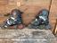 Immagine 2