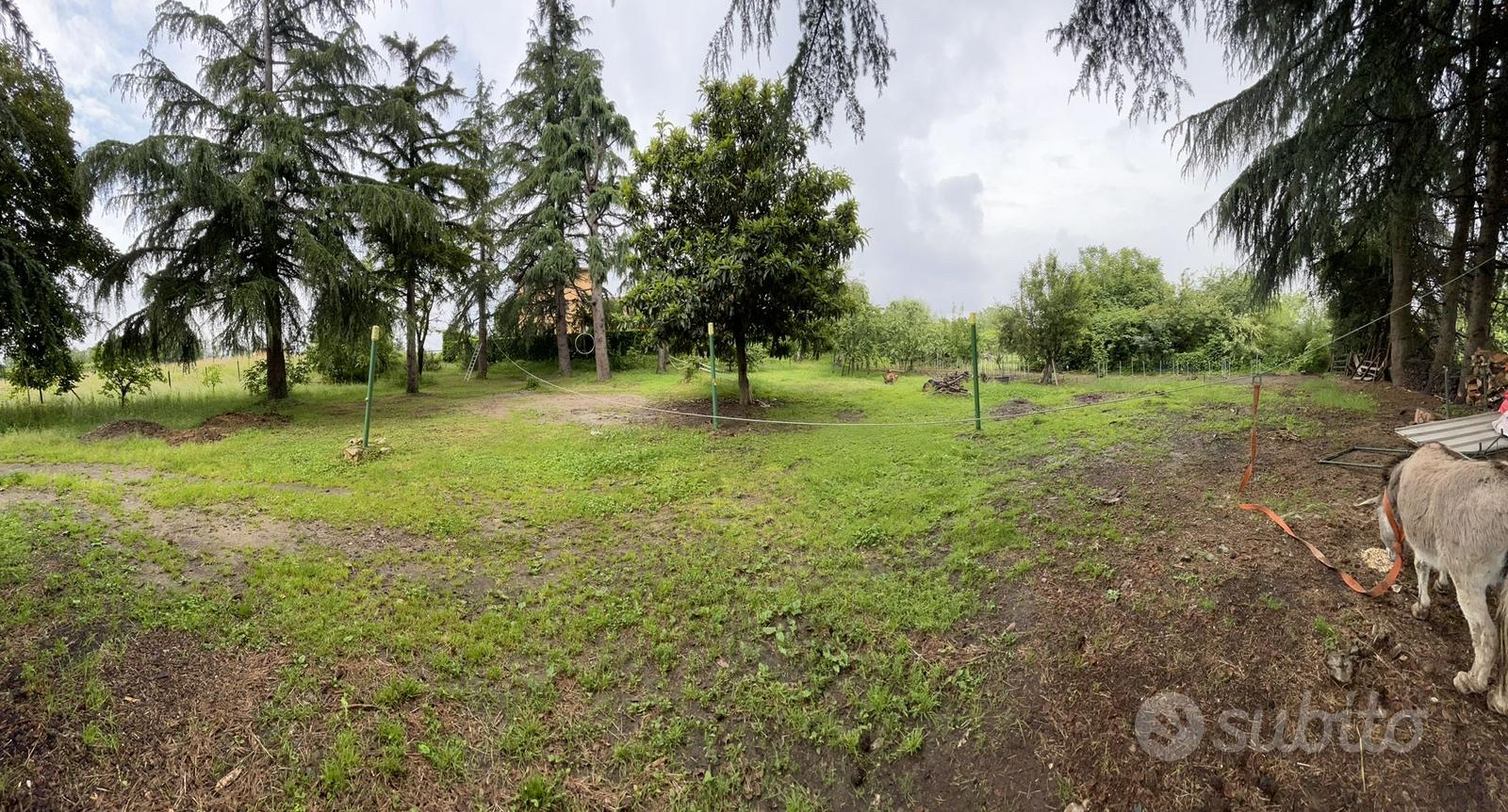 Terreno agricolo - Vista 4
