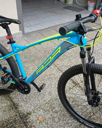 mountain-bike 