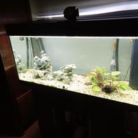 Acquario Juwel Rio 180