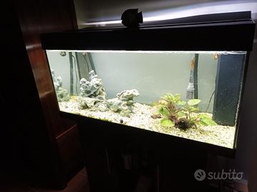 Acquario Juwel Rio 180