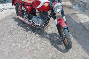 Ducati 98 Ts