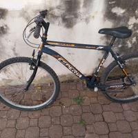 mountain bike