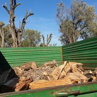 Legna d’ ulivo da ardere