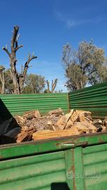 Legna d’ ulivo da ardere