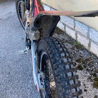 Trial Beta Evo 300