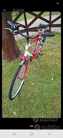 Bicicletta Esperia 