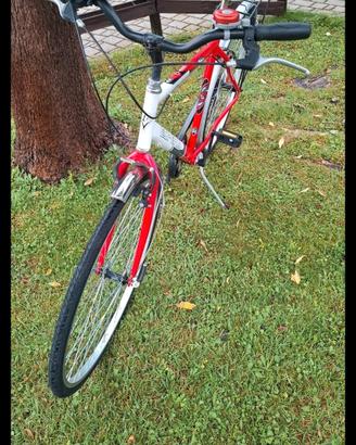 Bicicletta Esperia 