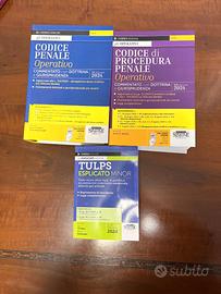 Codice Penale, Procedura Penale e Tulps Simone