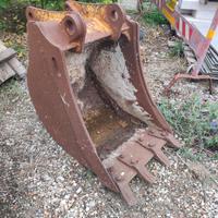 Benna terna caterpillar