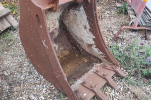 Benna terna caterpillar