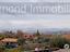 Immagine 22
