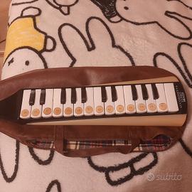 Accordietta Meazzi anni 70/ 80