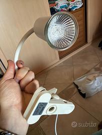 Lampada rettili