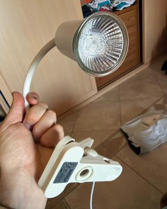 Lampada rettili