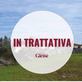 Rustico / Casale di 300 m² con più di 5 locali a P