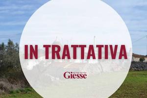 Rustico / Casale di 300 m² con più di 5 locali a P