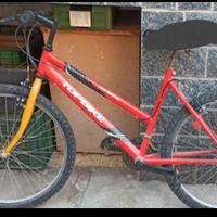 Mountain bike ragazzo 
