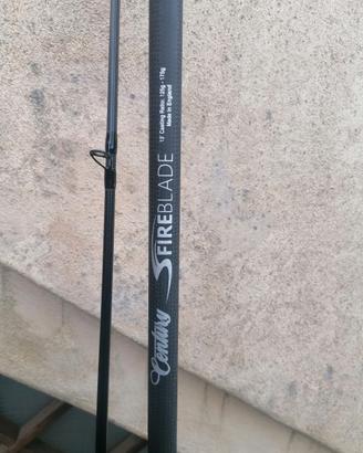 Canna ripartita surfcasting century