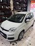 fiat-panda-1-2-easy-69-cavalli