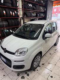 Fiat Panda 1.2 Easy 69 CAVALLI