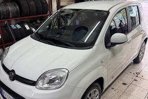 Fiat Panda 1.2 Easy 69 CAVALLI
