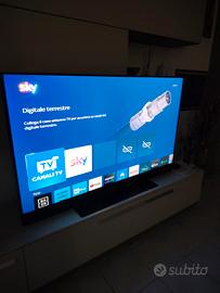 TV sky 65 pollici