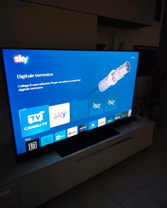 TV sky 65 pollici
