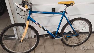 Bicicletta Olmo