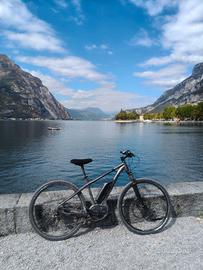 E-Bike Bergamont