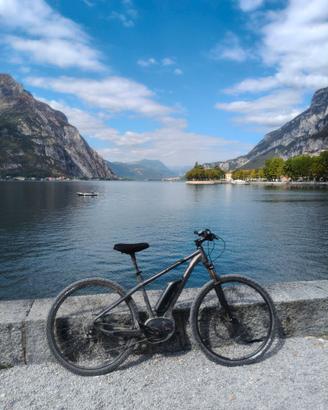 E-Bike Bergamont
