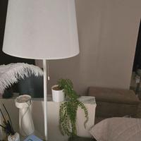 piantana leroy merlin 