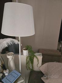 piantana leroy merlin 