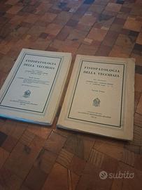 Fisiopatologia della vecchiaia. anni 1933/1934