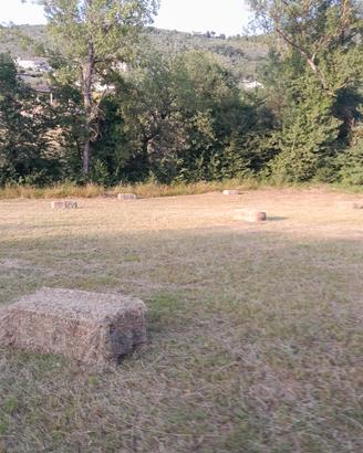 Ballette di fieno 2025