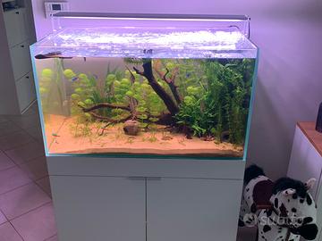 Acquario extrachiaro 225 litri
