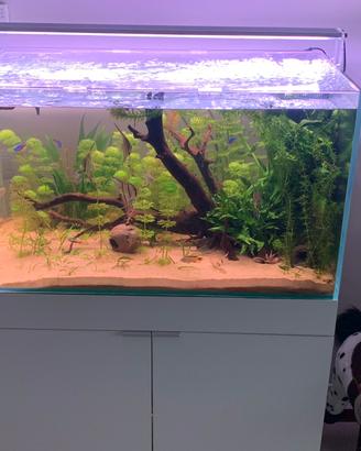Acquario extrachiaro 225 litri