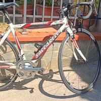 Bici da corsa Saccarelli