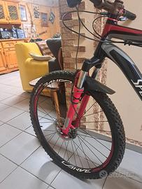 Bici 29 pollici