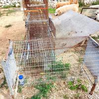 Set di gabbie per uccelli o animaletti