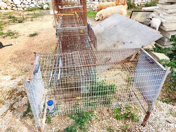 Set di gabbie per uccelli o animaletti