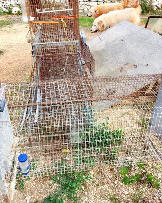 Set di gabbie per uccelli o animaletti